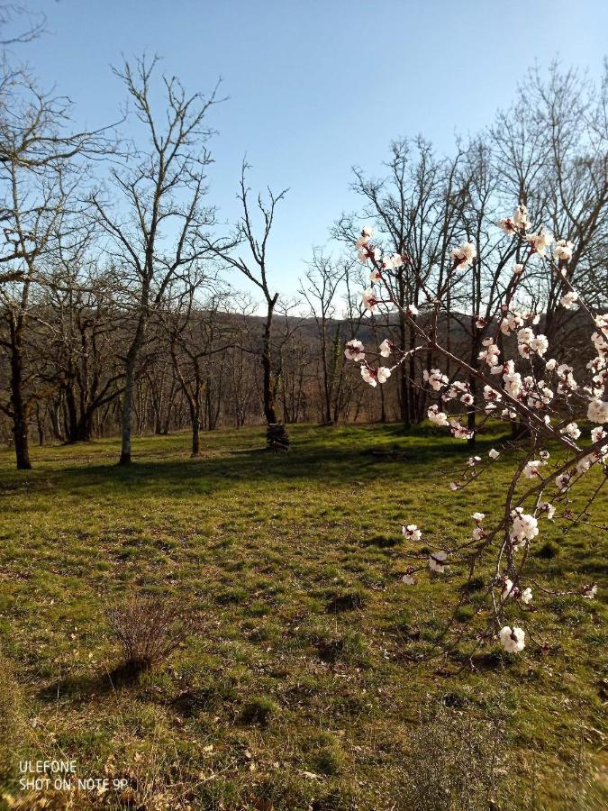 Location Gite Proche Gourdon Saint-Cirq-Souillaguet Exterior foto